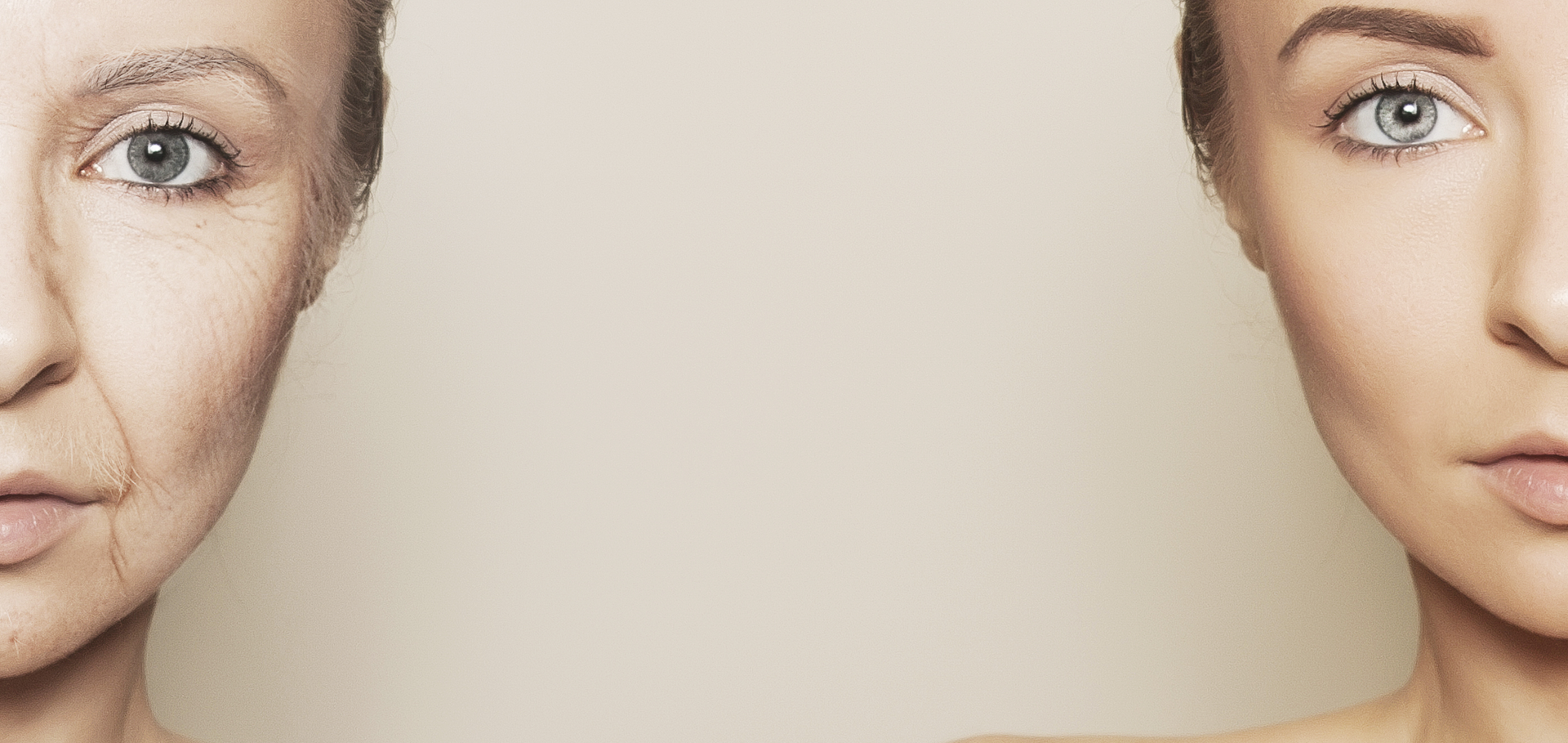 Wellness Japan Banner