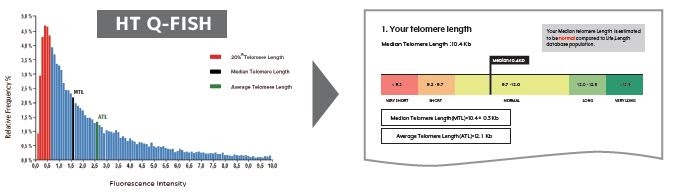 TELOMERE ANALYSIS TECHNOLOGY